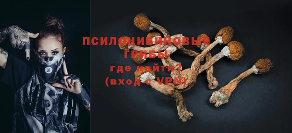 герыч Пересвет