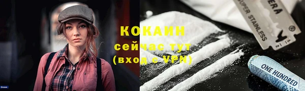герыч Пересвет