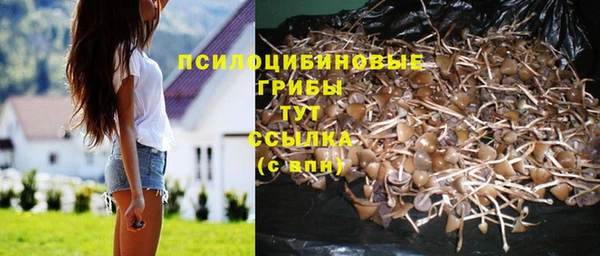 герыч Пересвет