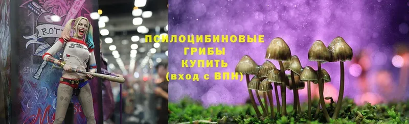 Псилоцибиновые грибы Psilocybine cubensis  кракен зеркало  Адыгейск 