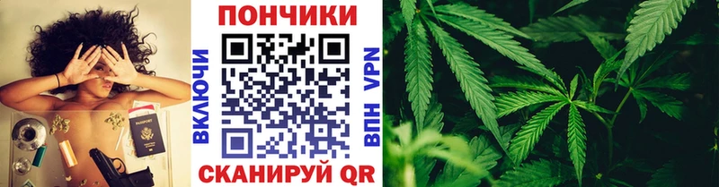 Шишки марихуана индика Адыгейск